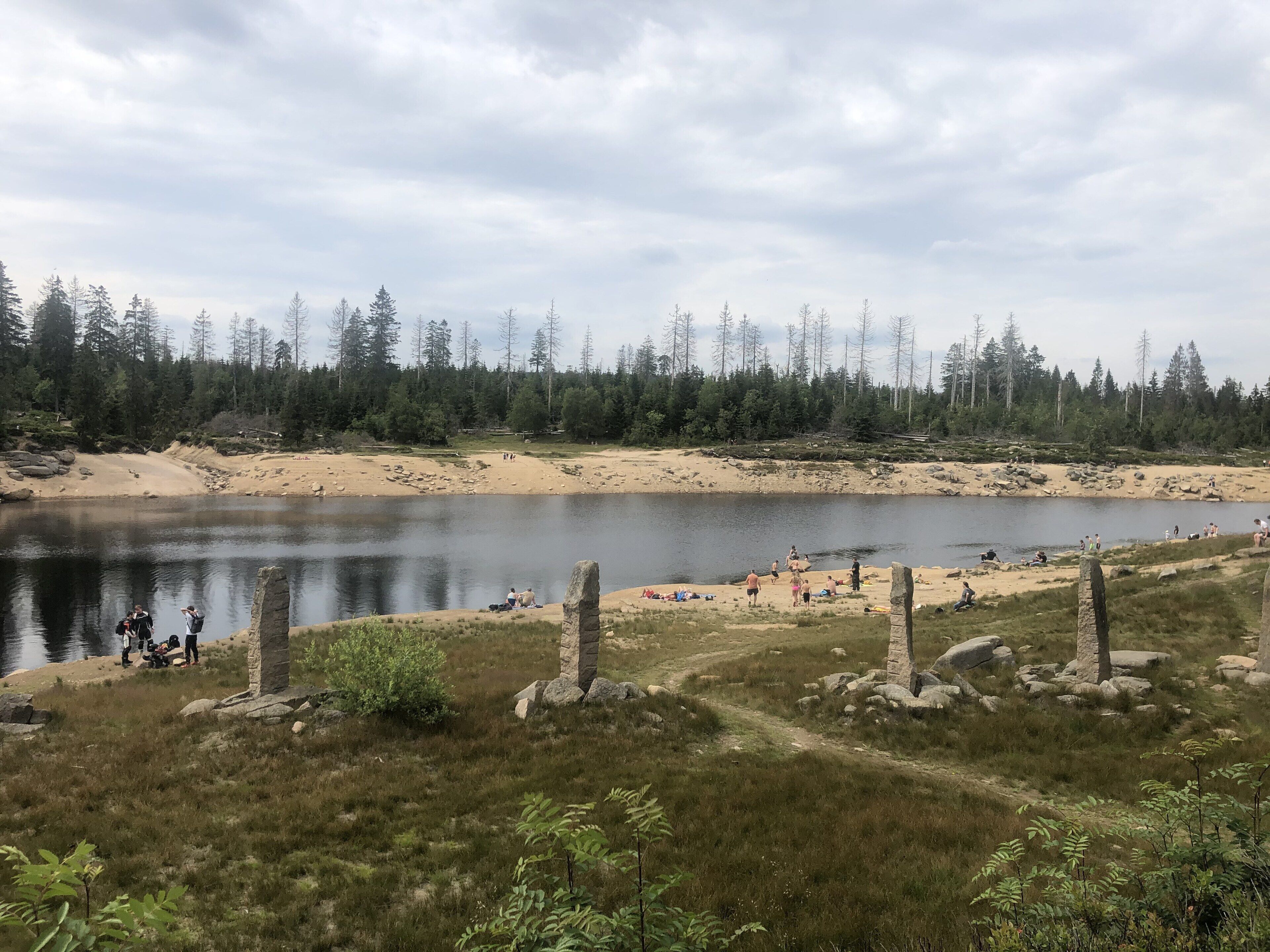 Un paysage naturel comprenant un lac, une plage de sable et une forêt.