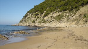 A beach with a rocky cliff and sparse vegetation. - Apartment with a beautiful panoramic terrace on the Cilento coast (Ogliastro Cilento)