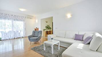 TV, fireplace, table tennis