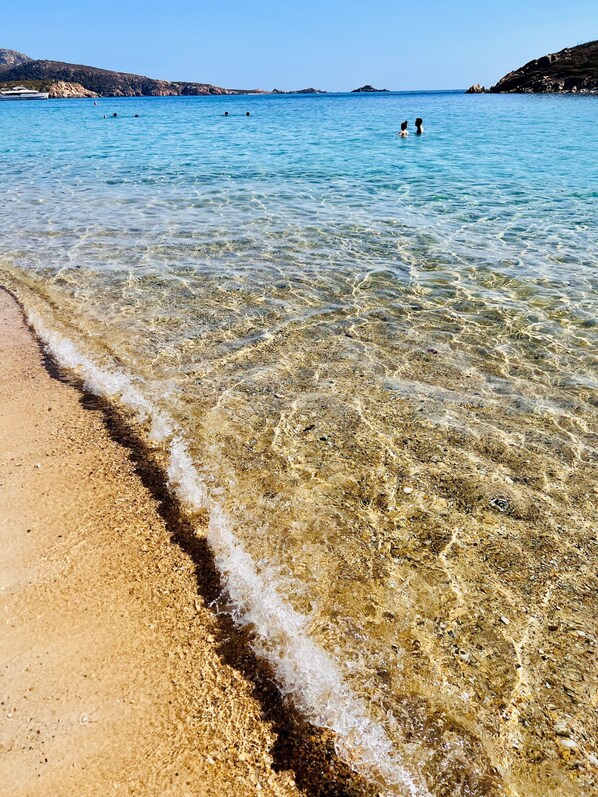 ビーチの近く、サンラウンジャー