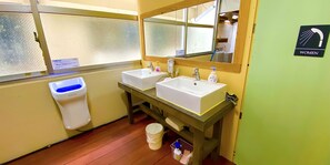 Shower, hair dryer, bidet, shampoo