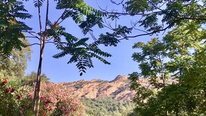 Ein Weg führt durch einen Garten mit blühenden Pflanzen und Bäumen hin zu einer Berglandschaft.