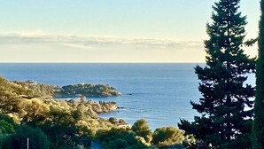 A coastal landscape with a view of the sea, a small island, and dense greenery.