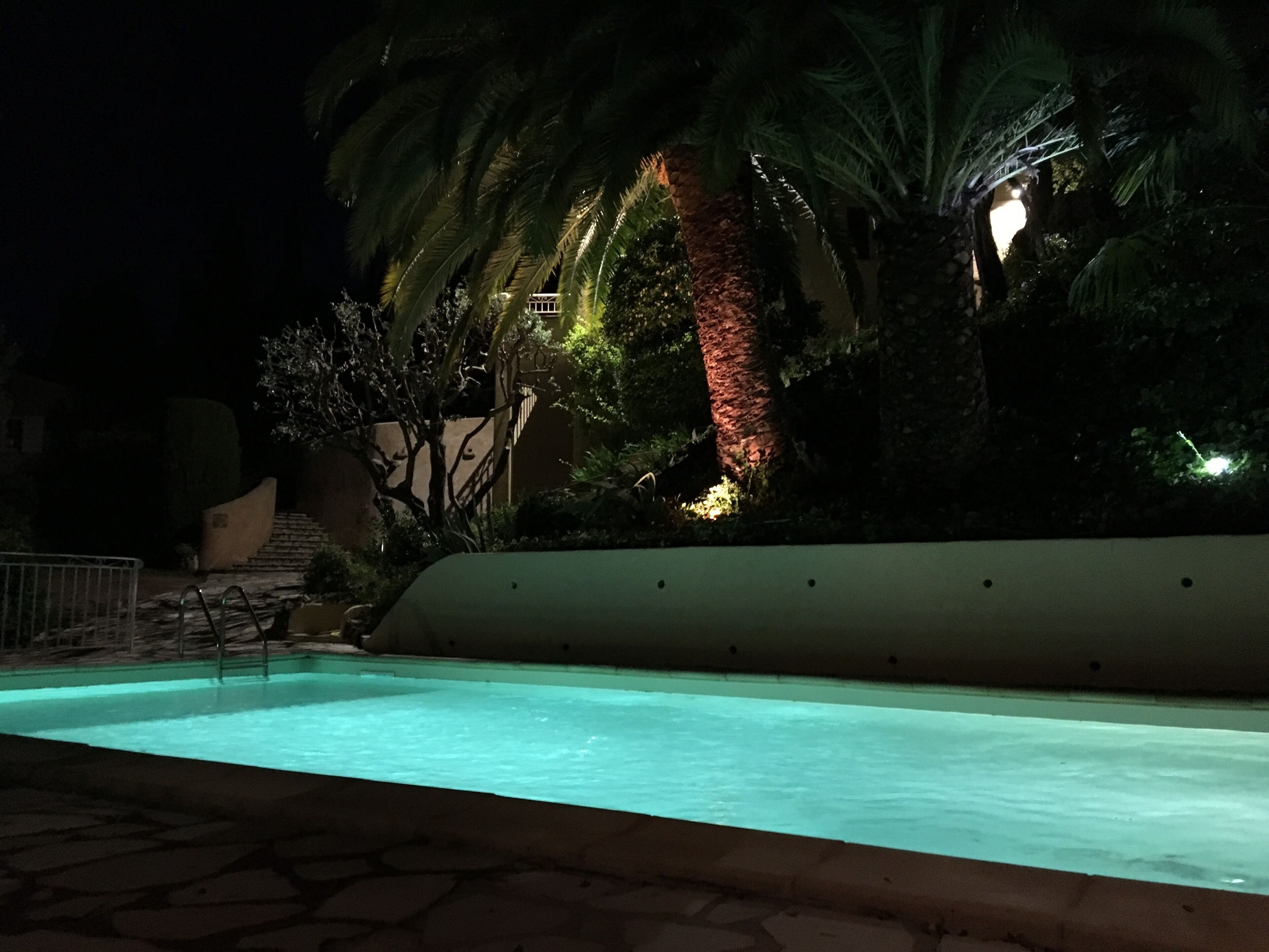 Ein Swimmingpool mit Steinrand, umgeben von Palmen und einem Gebäude mit Treppe.