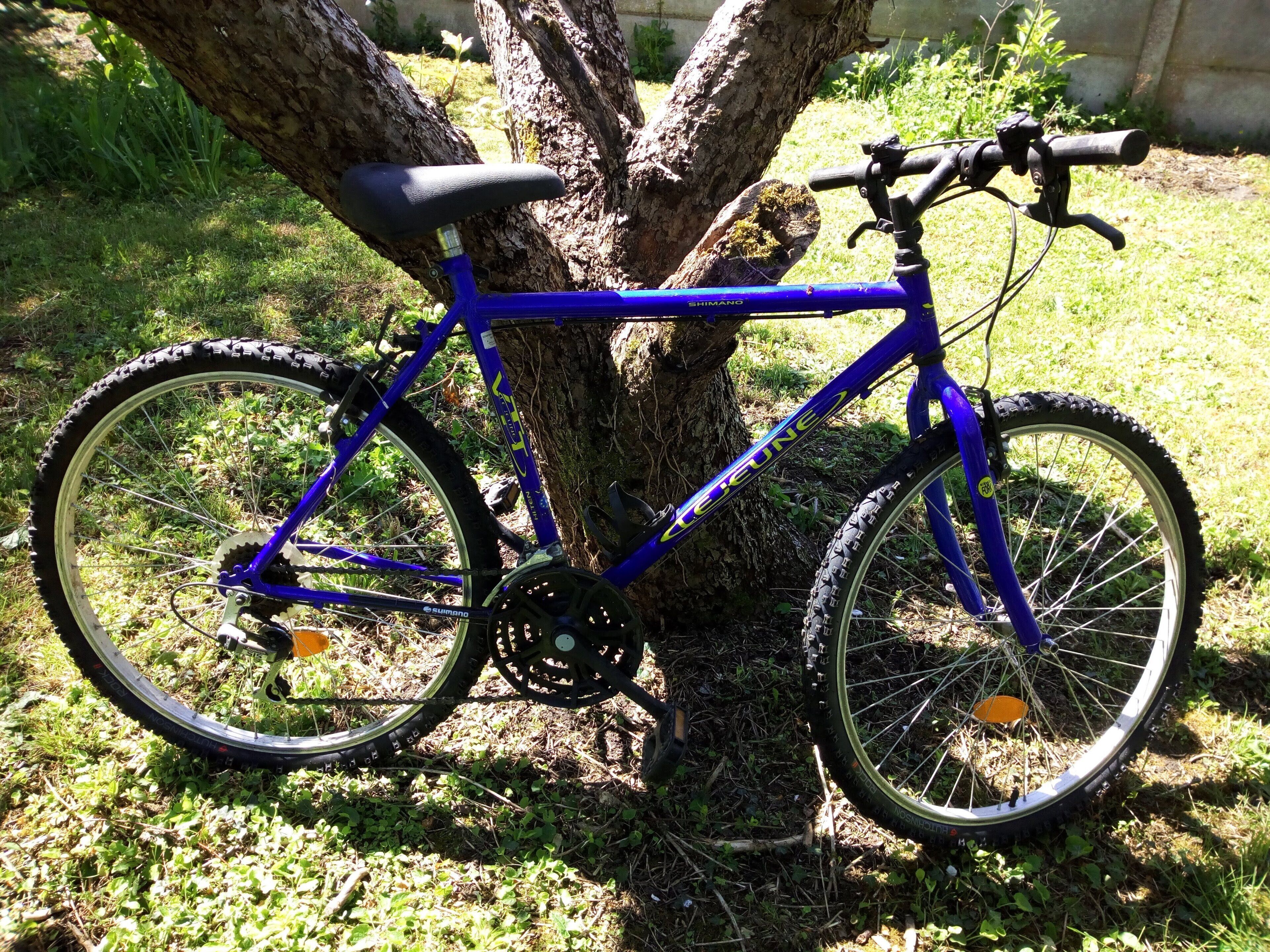 A blue bicycle parked under a tree.