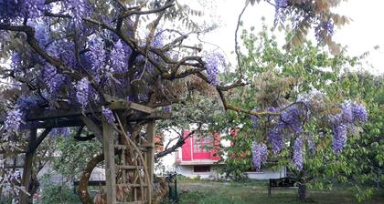 Fully equipped family home with a large garden and free fiber WIFI