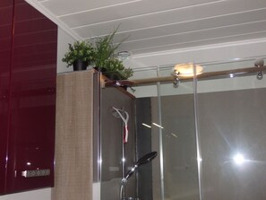 Regadera, secadora de cabello, toallas, jabón 