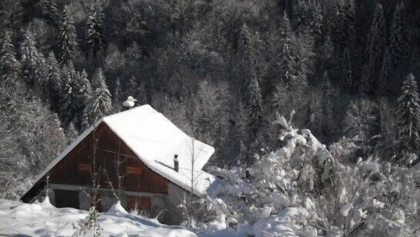 Une cabane en bois, dont le toit est recouvert de neige, entourée d’une forêt dense et d’arbres enneigés.
