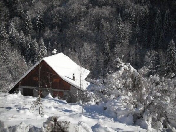 Exterior - ALLEMONT CHALET OLLE 72 m2 Oisans Vaujany Alpe d'Huez 8 or 16 couchag (Allemond)