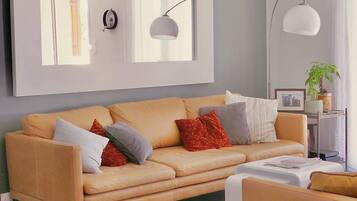 Télévision, lecteur de DVD, livres