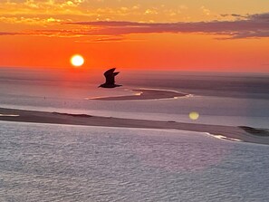 Plage à proximité, chaises longues