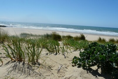 House with swimming pool in condominium