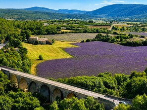 Paisaje rural con campos de lavanda, un puente de piedra y una casa.