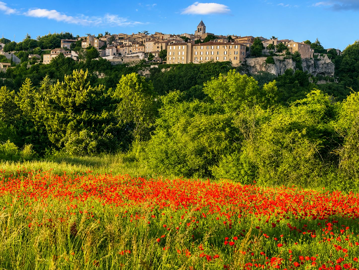 A town with historic buildings on a hill, surrounded by lush greenery and a field of red poppies.