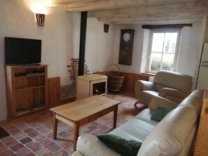 TV, fireplace, DVD player, ping pong