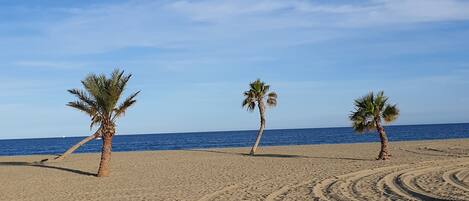Playa en los alrededores y camastros