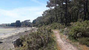 Am Strand