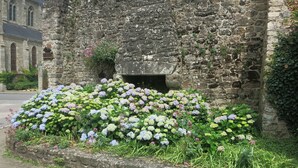 Edifici de pedra amb un jardí de flors al davant.