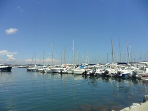 Un port de plaisance où de nombreux bateaux sont amarrés.