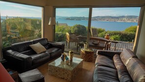 Télévision, cheminée, livres, chaîne hi-fi