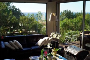 Télévision, cheminée, livres, chaîne hi-fi