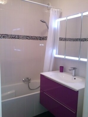 Combined shower/tub, hair dryer, toilet paper