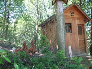 Property grounds - Character cottage - Crozon peninsula (Dinéault)