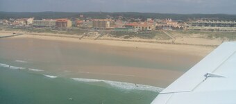 house in the pine forest, near the ocean