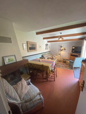 TV, fireplace, DVD player, books
