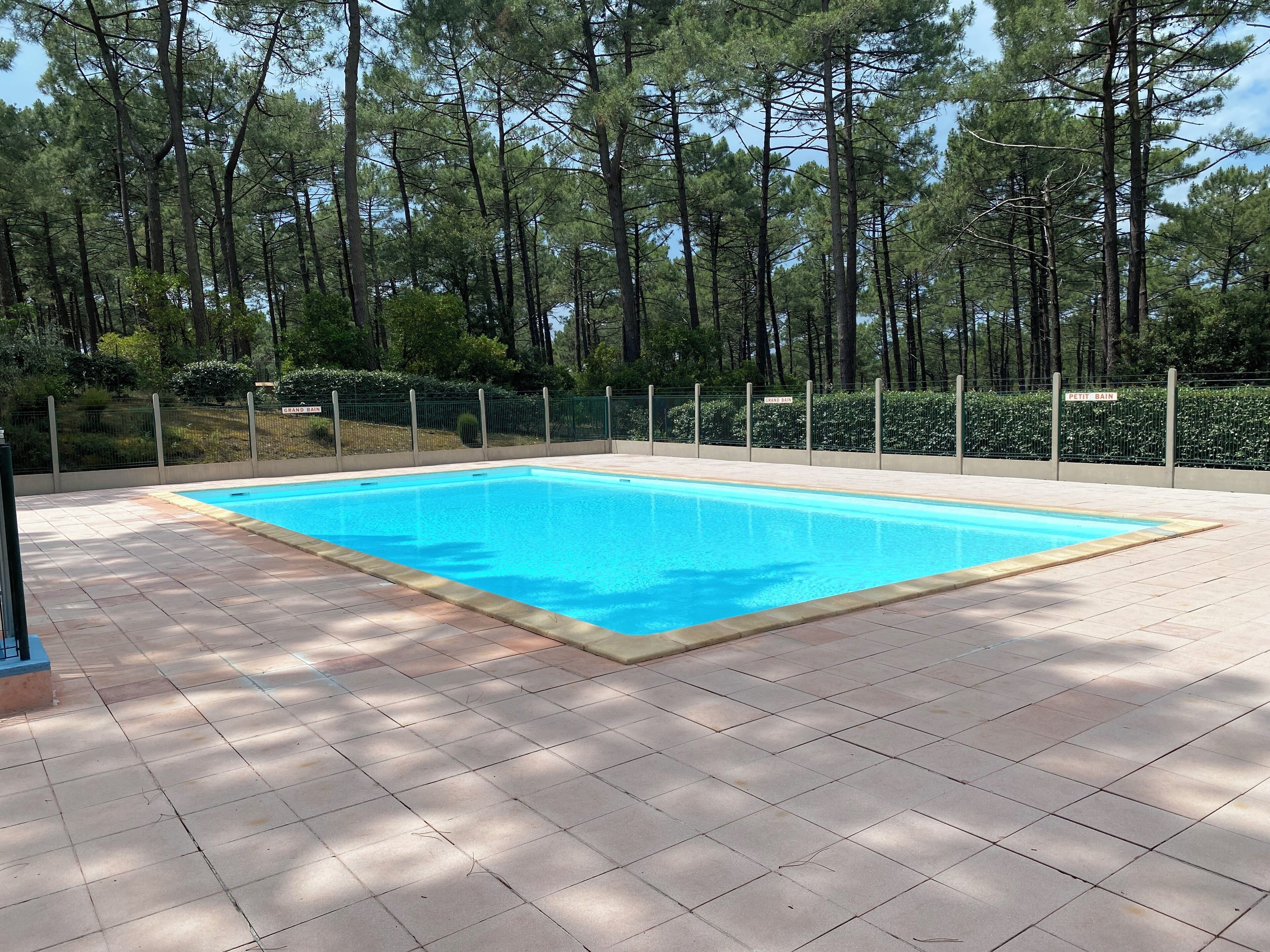 Ein rechteckiger Pool mit Fliesen umgeben, mit einer Metallumzäunung und Bäumen.