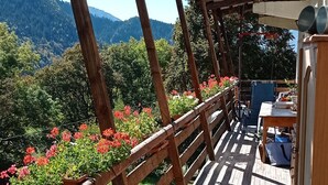 A wooden deck with a green mat, wooden railings, and a view of a mountainous landscape. - Apartment / house 12 people, Pontchéry (Montaimont)