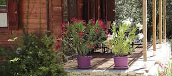 cottage in Provence near l'isle sur sorgue