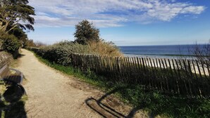 A dirt path leading to a beach with a wooden fence and a bench on the left.