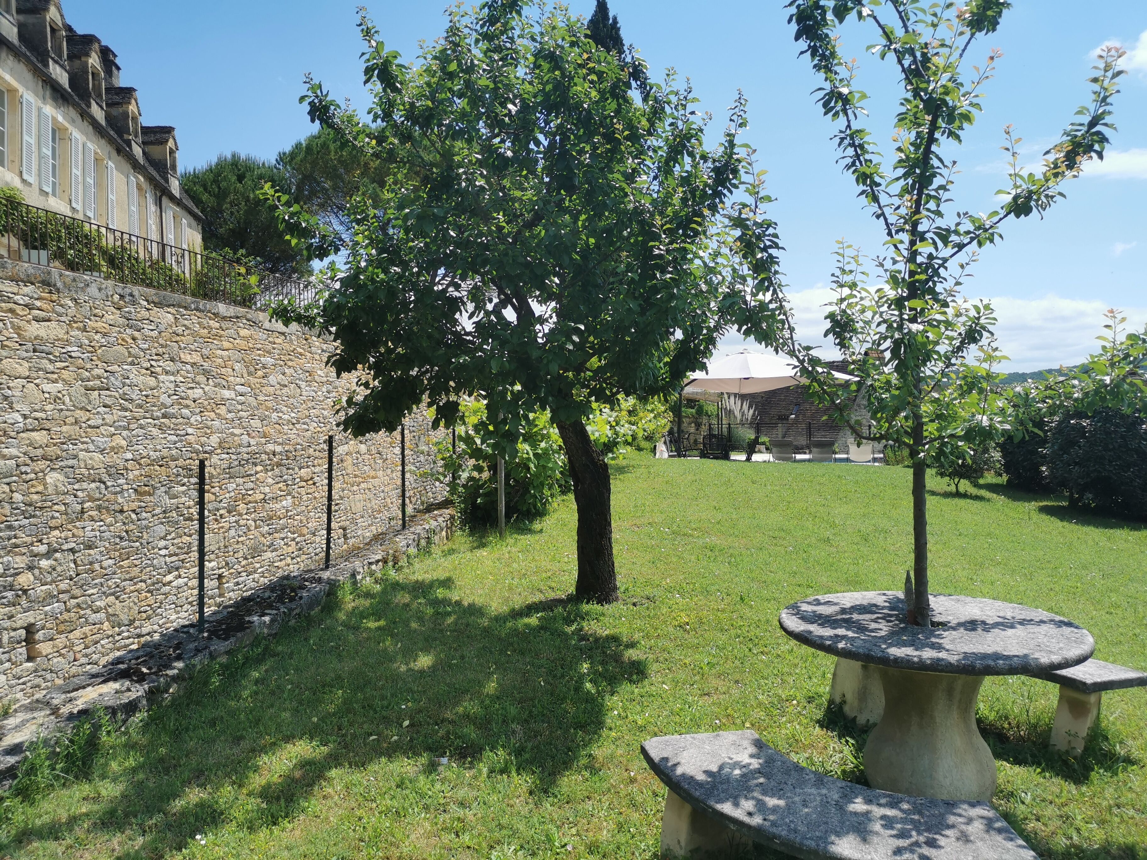 Un mur de pierres, une zone herbeuse et un petit arbre.