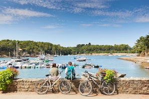 Marina - Les Gîtes de Pen Vraz ***, Nature ZEN 5 minutes from the coastal paths (Plougoumelen)