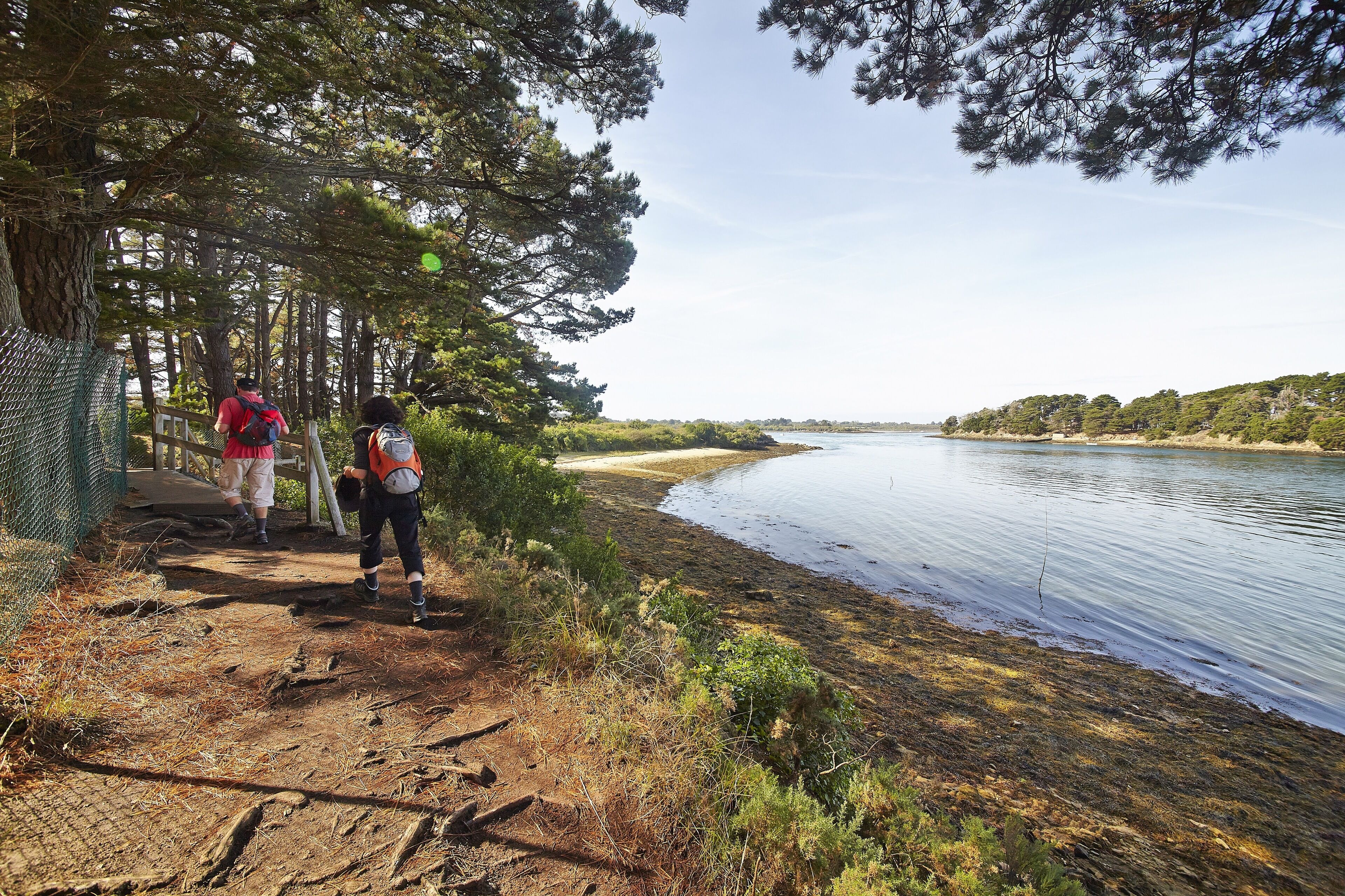 En sti der fører til en strand, med et hegn på den ene side og træer på den anden.