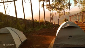 Two tents labeled Quechua, set in a forested area with a dirt path and a wooden structure in the background. - Munnar Jungle Camp (Devikolam)