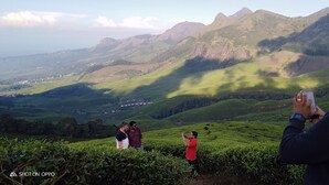 A group of people on a hillside with tea plantations and mountains in the background. - Munnar Jungle Camp (Devikolam)