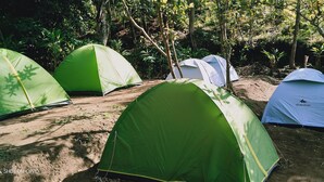 Several tents set up in a forested area. - Munnar Jungle Camp (Devikolam)