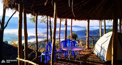 Munnar Jungle Camp
