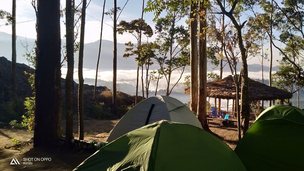 A campsite with tents, a thatched-roof structure, and a view of a mountainous landscape. - Munnar Jungle Camp (Devikolam)
