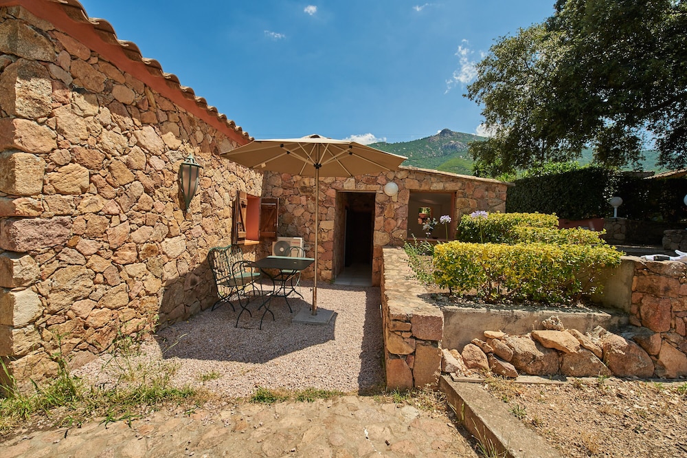 L'Olivier house with swimming pool for 4/6 people