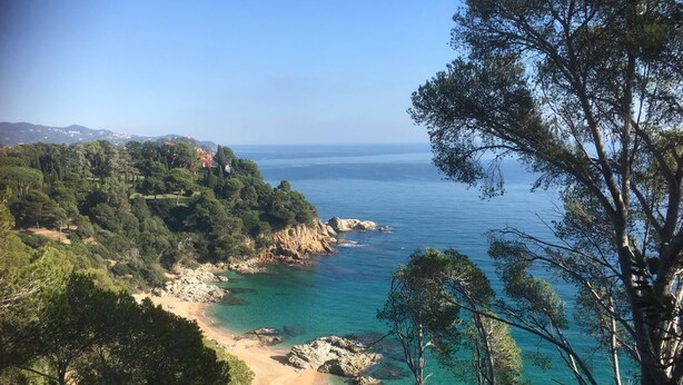 Un paisaje costero con playa, aguas turquesas cristalinas y densos pinos.