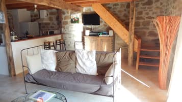 Télévision, cheminée, lecteur de DVD, livres