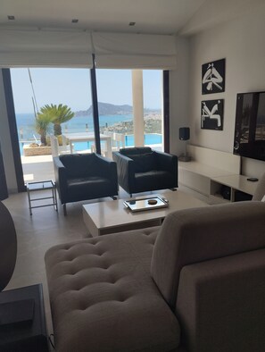 TV connectée, cheminée, lecteur de DVD, livres