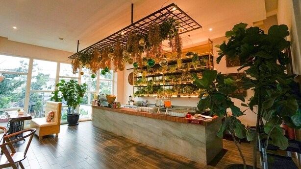 A spacious cafe with a wooden floor, a counter with a 'CASHIER' sign, and shelves filled with plants and greenery. - Deli Hotel (Medan)