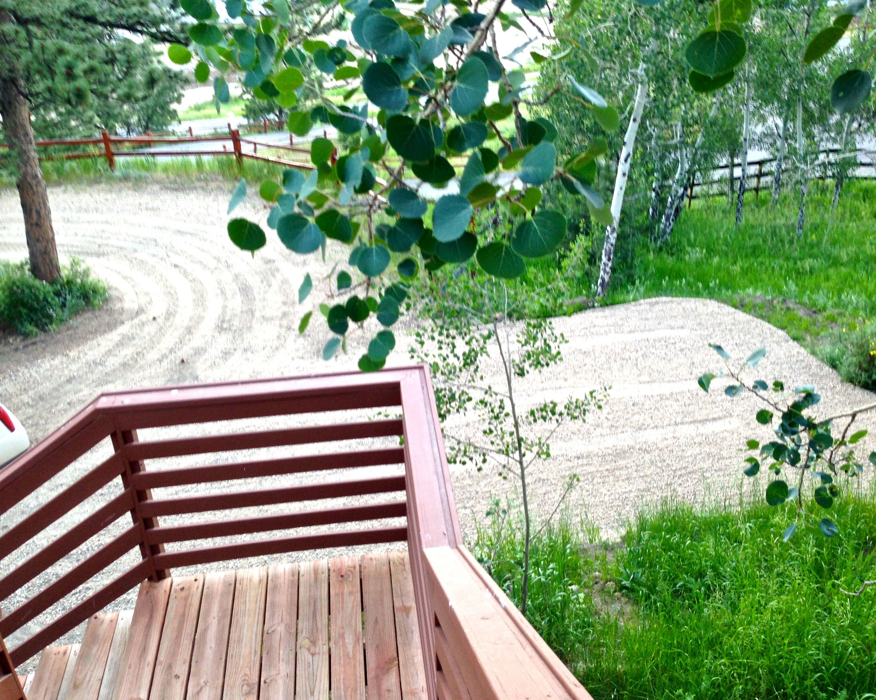 A wooden bench with a metal frame, surrounded by greenery and a gravel path.