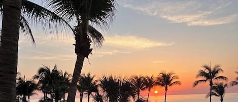 屋外プール、温水プール