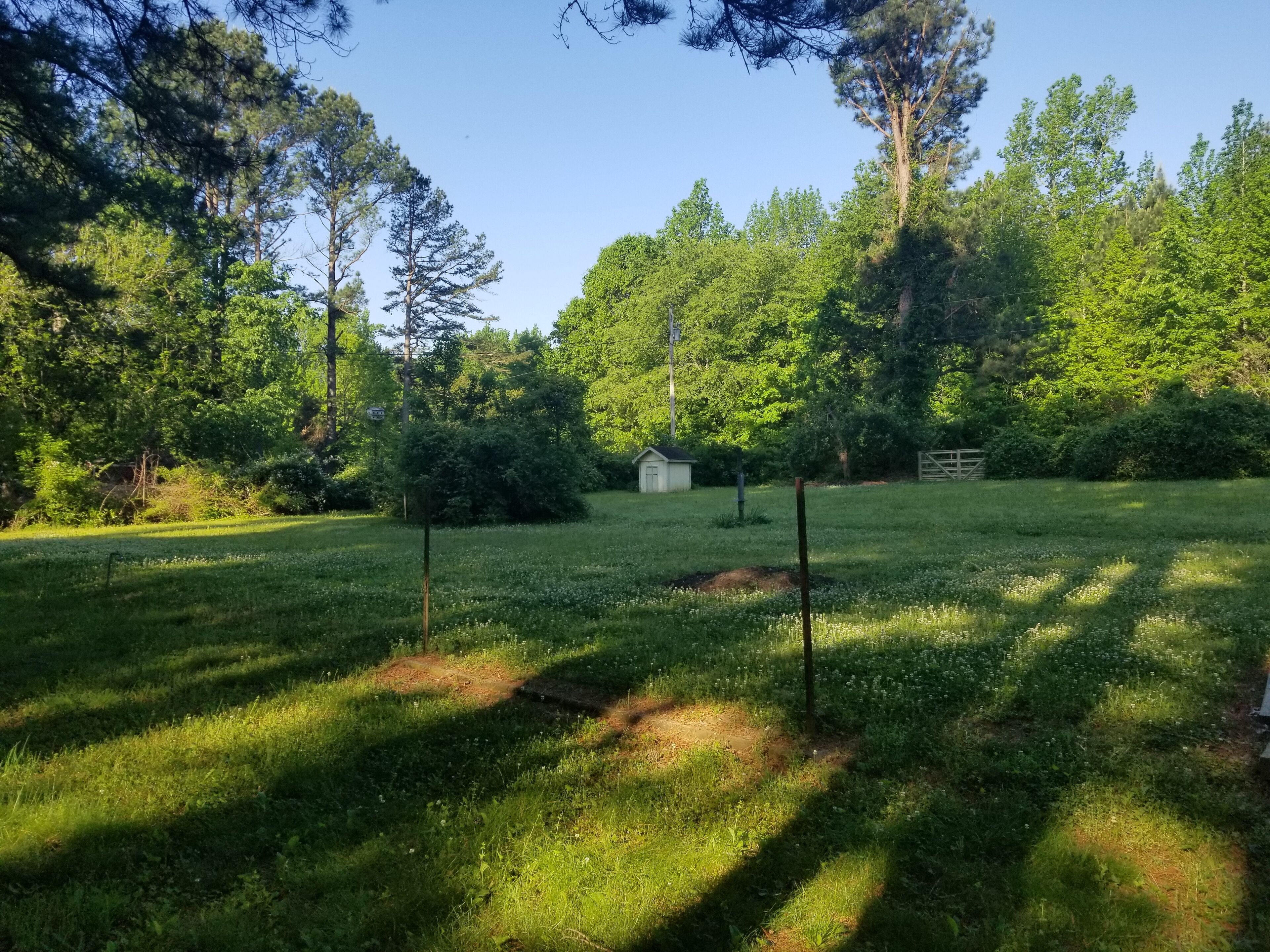 front yard