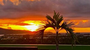 A sunset over a cityscape with a palm tree in the foreground. - GD Rooftop Lounge ocean view, salt water pool with mountain view, 1bdrm (West Gate Hills, Montego Bay)